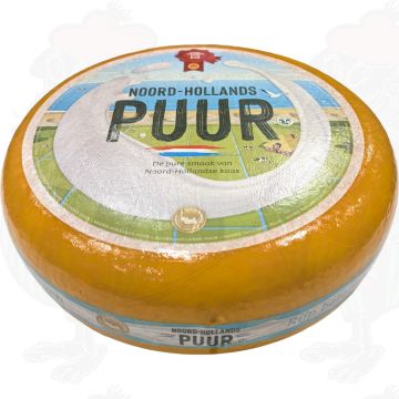 Modnet Nordholland Gouda med den røde segl | Hel ost 13 kilo