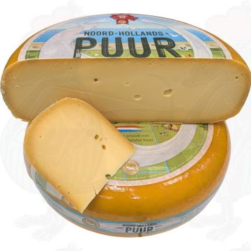 Nordholland Gouda modnet
