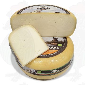 Økologisk fåremælksost - Gouda Ost