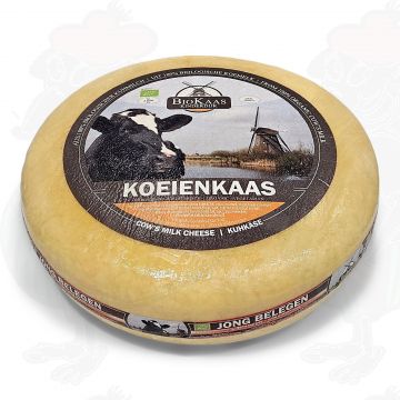 Mild Økologisk Ost | Hel ost 14 kilo