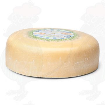 Ung modnet økologisk ost | Yderligere kvalitet | Hel ost 7,5 kilo