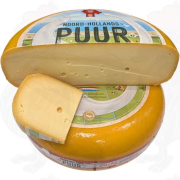 Nordholland Gouda Ung modnet