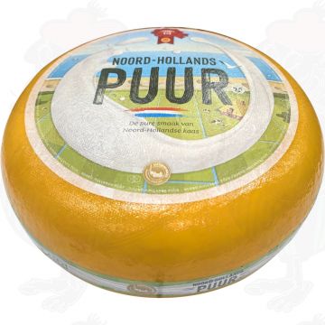 Ung Nordholland Gouda med den røde sæl | Hel ost 13 kilo
