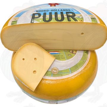 Nordholland Gouda Ung