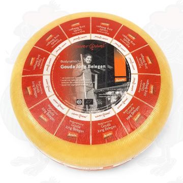 Ung modnet Gouda Biodynamisk ost - Demeter | Hel ost 12 kilo