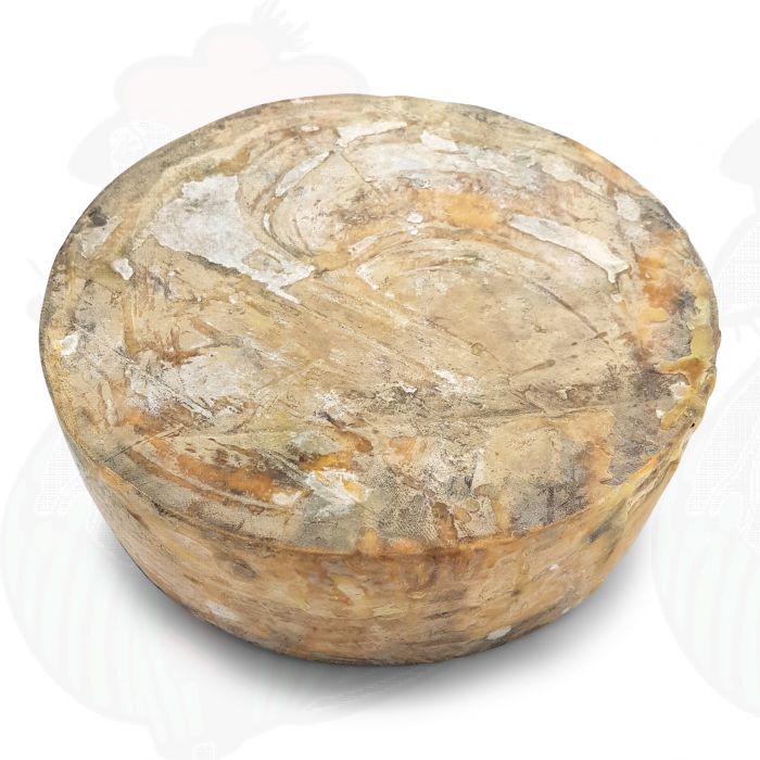 Ældret leicestershire rød | Hel ost 3,6 kilo main product photo