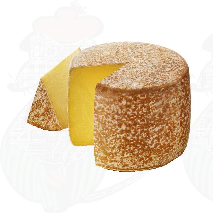 Cantal AOP / AOC ost main product photo