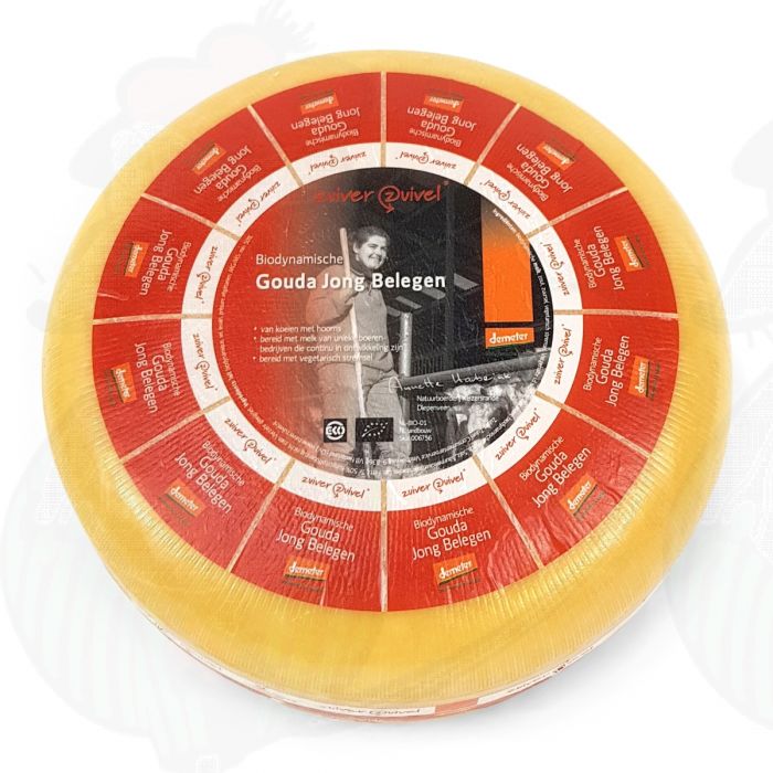 Ung modnet Gouda Biodynamisk ost - Demeter | Hel ost 12 kilo main product photo