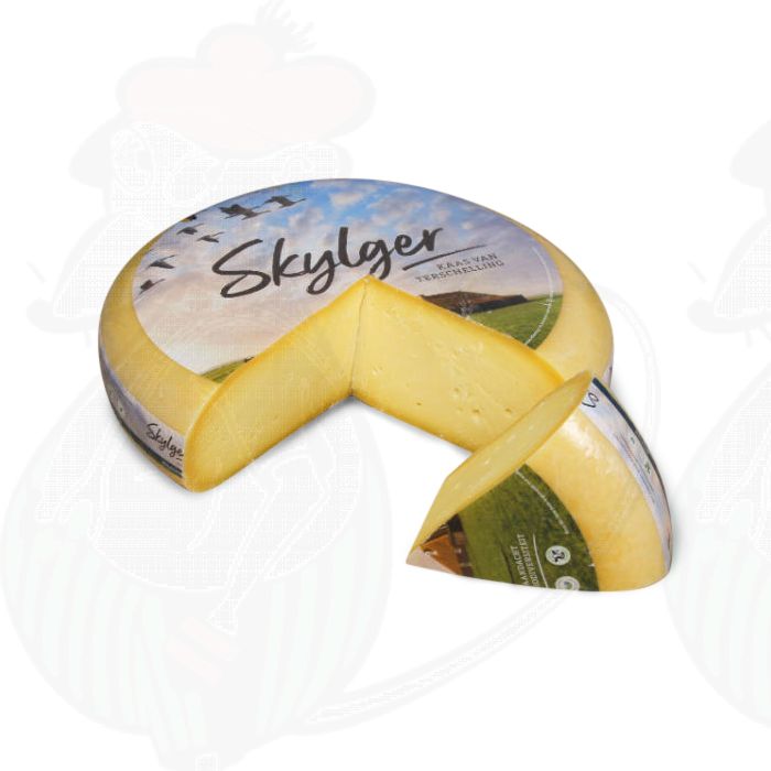 Skylger Modnet main product photo