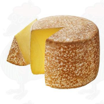 Cantal AOP / AOC ost