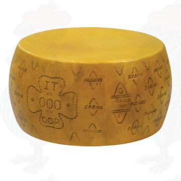 Cheese Dummy Grana Padano PDO